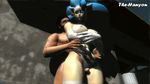  3d animal_ears animated breasts cat cat_ears compression_artifacts darkstalkers duo felicia_(darkstalkers) feline female male mammal penis straight teasing the-hanyou thigh_sex video_games 
