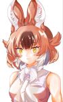  1girl animal_ears bare_shoulders blush bow breasts brown_hair commentary_request dh01e_ak dhole_(kemono_friends) dog_ears dog_girl extra_ears glaring highres kemono_friends kemono_friends_3 looking_at_viewer multicolored_hair pov shirt short_hair sleeveless solo tail two-tone_hair white_hair 