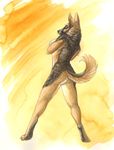  anthro butt cadmiumtea canine dog female german_shepherd mammal north_shepherd nude pussy solo standing 