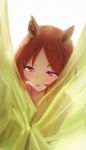  1girl absurdres animal_ears behind_curtains brown_hair commentary_request curtain_grab curtains denryoku_saboten flower-shaped_pupils highres horse_ears horse_girl looking_at_viewer open_mouth pink_eyes sakura_laurel_(umamusume) see-through_silhouette short_hair smile solo symbol-shaped_pupils umamusume 