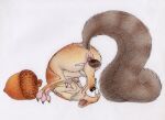  acorn anal anal_masturbation anus autorimming blue_sky_studios brown_body brown_eyes brown_fur butt fangs feral fluffy fluffy_tail food fruit fur hi_res ice_age_(series) male mammal masturbation noonei nut_(fruit) oral oral_masturbation plant rodent saber-toothed_squirrel sabertooth_(anatomy) scrat_(ice_age) simple_background smile solo tail teeth tongue tongue_out traditional_media_(artwork) 