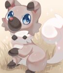  blue_eyes closed_mouth commentary_request full_body grass highres iwasi_29 no_humans pokemon pokemon_(creature) pokemon_focus rockruff solo sparkle twitter_username 