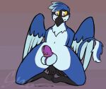 animated anthro avian blush bodily_fluids chastity_cage chastity_device dripping embarrassed genital_fluids gryphon hi_res kneeling male mythological_avian mythological_creature mythology precum precum_drip solo sombird spicy_(spicygryphon) throbbing