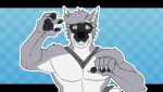 animated anthro black_pawpads blue_claws blue_eyes canid canine canis claws cole_canine domestic_dog fur grey_body grey_fur husky looking_at_viewer male mammal muscular muscular_male nordic_sled_dog notnbars pawpads smile smiling_at_viewer solo spitz tail tail_motion tailwag yellow_sclera