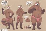 2020 ailurid anthro bear brown_body brown_fur brown_hair brown_nipples bulge butt clothing english_text feet fur fur_markings hair looking_at_viewer male mammal markings minedoo model_sheet nipples overweight overweight_anthro overweight_male pink_clothing pink_underwear red_panda simple_background solo tan_hair text tongue tongue_out underwear white_body white_fur