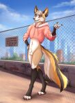 absurd_res animal_genitalia anthro arssy arssyarts bottomless bottomless_anthro bottomless_male canid canine city city_background clothed clothing day ear_piercing fence fox genitals gesture gold_piercing hi_res male mammal navel navel_piercing open_mouth outside piercing pink_clothing purple_eyes purple_piercing ring ring_piercing sheath sign smile solo teeth topwear topwear_only