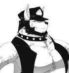  anthro beard biceps canine dog facial_hair fur hat husky jerome kokuhane looking_at_viewer male mammal muscles pecs solo vest 