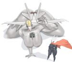 aeromorph aircraft anthro black_body duo female hi_res hollow_knight_(franchise) hornet_(hollow_knight) living_aircraft living_machine living_vehicle machine quattrant tagme team_cherry vehicle white_body