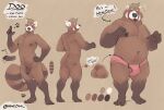 2020 ailurid anthro balls bear brown_body brown_fur brown_hair brown_nipples brown_penis bulge butt clothing english_text feet foreskin fur fur_markings genitals hair humanoid_genitalia humanoid_penis looking_at_viewer male mammal markings minedoo model_sheet nipples overweight overweight_anthro overweight_male penis pink_clothing pink_underwear red_panda simple_background solo tail tan_hair text tongue tongue_out underwear white_body white_fur
