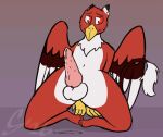 animated anthro avian blush bodily_fluids dripping embarrassed genital_fluids genitals gryphon hi_res knot looking_away male mythological_avian mythological_creature mythology penile_spines penis precum precum_drip solo sombird throbbing throbbing_penis