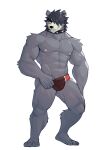 abs anthro areola bear biped bulge clothed clothing collar colored feet fingers front_view full-length_portrait fur grey_body grey_fur grey_hair hair hair_over_eye hi_res humanoid_feet humanoid_hands jrjresq looking_aside male mammal marsh_(jrjresq) muscular muscular_anthro muscular_arms muscular_legs muscular_male nipples pecs pinup plantigrade portrait pose shaded short_hair simple_background smile smirk smug snaggle_tooth solo spiked_collar spikes standing toes topless topless_anthro topless_male underwear underwear_only white_background