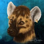  ear_piercing gnol headshot_portrait hyena male mammal piercing portrait solo ykoriana 