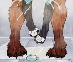 anthro bodily_fluids canid canine cum cum_splatter curling_toes duo excessive_cum excessive_genital_fluids feet foot_focus fox genital_fluids hi_res leg_cropped_sex lifted male male/male mammal nanabi_ashiro offscreen_sex rio_(cerulean) soap tatujapa