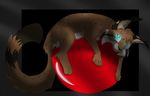  ambiguous_gender ball blue_eyes brown_fur cat collar feline feral fur happy kibawolf99 long_tail lynx mammal paws pink_tongue solo tongue vladislav white_fur 