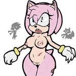  amy_rose belly breasts chd female group hedgehog inverted_nipples mammal navel nipples pussy sega solo_focus sonic_(series) thick_thighs undead wide_hips zombie 
