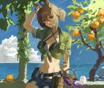  1girl agnes_tachyon_(lunatic_lab)_(umamusume) agnes_tachyon_(umamusume) ahoge animal_ears bikini black_bikini blue_sky breasts brown_hair cleavage cloud criss-cross_halter flask food fruit green_jacket hair_between_eyes halterneck highres horse_ears horse_girl horse_tail jacket kago1zq kii-kun_(agnes_tachyon)_(umamusume) mandrake medium_breasts navel ocean official_alternate_costume open_clothes open_fly open_mouth open_shorts orange_(fruit) outdoors red_eyes round-bottom_flask shorts sky solo stomach sweat swimsuit tail tied_jacket tree umamusume water wrist_straps 