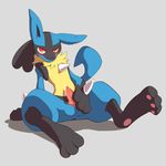  animal_genitalia anthro balls bedroom_eyes blue_fur blush canine chest_tuft fur holding_penis knot looking_at_viewer lucario male mammal masturbation neck_tuft nintendo pawpads paws penis plain_background pok&eacute;mon precum presenting presenting_penis red_eyes sitting solo spread_legs spreading tuft video_games かいすけ 