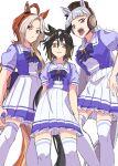  3girls 82hanico ahoge animal_ears black_hair blue_eyes blunt_bangs bow breasts brown_eyes brown_hair brown_hat closed_mouth commentary_request curtained_hair ear_bow ear_covers ear_ornament ear_ribbon gold_ship_(umamusume) gradient_eyes grey_hair hair_between_eyes hat highres horse_ears horse_girl horse_tail long_hair looking_at_viewer multicolored_eyes multicolored_hair multiple_girls open_mouth orange_hair orfevre_(umamusume) parted_lips pillbox_hat pleated_skirt ponytail puffy_short_sleeves puffy_sleeves purple_bow purple_eyes purple_shirt purple_skirt sailor_collar sailor_shirt school_uniform shirt short_sleeves simple_background single_ear_cover skirt smile stay_gold_(umamusume) streaked_hair summer_uniform tail thighhighs tongue tongue_out tracen_school_uniform two-tone_hair umamusume white_background white_hair white_sailor_collar white_skirt white_thighhighs zettai_ryouiki 