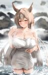  1girl absurdres animal_ears bare_shoulders blush braid breasts brown_eyes brown_hair cleavage closed_mouth collarbone commentary_request double-parted_bangs hair_between_eyes half_up_braid highres horse_ears horse_girl horse_tail large_breasts long_hair looking_at_viewer multicolored_hair naked_towel onsen p1_fcoyaa patterned_hair satono_diamond_(umamusume) smile solo steam streaked_hair tail towel umamusume very_long_hair wading water 