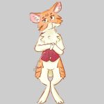 1:1 4_toes ambiguous_gender amor_seiso_de_angel_payasito anthro bottomless bottomless_anthro clothed clothing clover_(disambiguation) feet fluffy fur hi_res hybrid lagomorph leporid mammal orange_body orange_fur paws pink_ears rabbit red_waistcoat scut_tail seiso_ai_saber shirt short_tail solo standing stripes tail toes topwear white_clothing white_shirt white_topwear