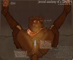 absurd_res anatomy_of animate_inanimate anthro anus bandage bandage_on_face bird_dog bodily_fluids brown_body brown_fur canid canine canis cerberussenn cybernetics cyborg dialogue dipstick_ears dipstick_fingers dipstick_toes directional_arrow domestic_dog ear_markings encouraging_viewer english_text facial_spots fake_penis floppy_ears freckles fur genitals hi_res holding_legs_up hunting_dog kerchief labrador legs_up living_machine living_plushie lore machine male mammal markings multicolored_ears narrowed_eyes neckerchief neckwear nervous orange_eyes pawpads pawprint_clothing penis plush_stuffing plushie retriever riley_manchester_(cerberussenn) segmented_body signature simple_eyes small_penis solo spread_legs spreading sweat text tuft