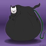 1:1 absurd_res belly butt canid canine canis feral hi_res hose hose_in_butt hose_inflation inflatable inflation male mammal mask pumex shy solo tobiwoofer wolf