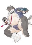 absurd_res anthro asian_clothing bdsm belly bone_in_mouth bulge canid canine canis clothing collar domestic_dog east_asian_clothing erection erection_under_clothing eyebrows footwear fundoshi fur grey_body grey_fur hi_res japanese_clothing leash lifewonders male mammal moritaka_(tas) nipples overweight petplay popcornduck2 roleplay scar socks solo tail tail_motion tailwag tenting thick_eyebrows tokyo_afterschool_summoners underwear