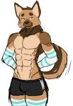 abs anthro armwear athletic athletic_anthro athletic_male bedroom_eyes black_bottomwear black_clothing black_shorts blue_stripes bottomwear brown_body brown_fur bulge canid canine canis clothing colored domestic_dog femboy fur german_shepherd herding_dog hi_res male mammal narrowed_eyes pastoral_dog pecs pointy_ears prick_ears seductive shorts shrederr_8 sketch solo standing stripes thick_thighs white_armwear white_clothing