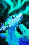2026 ambiguous_feral ambiguous_gender aurora_(phenomenon) blue_body blue_eyes blue_feathers blue_fur blue_horn blue_wings cheek_tuft detailed_background digital_drawing_(artwork) digital_media_(artwork) dragon facial_tuft feathered_wings feathers feral fluffy forest fur furred_dragon furred_scalie green_body green_feathers green_fur hi_res horn inner_ear_fluff kitakettu_(artist) looking_up markings mouth_closed multicolored_body multicolored_fur mythological_creature mythological_scalie mythology neck_tuft night outside plant scalie shaded sky snout solo star starry_sky text tree tuft wings