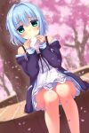  1girl absurdres bare_shoulders black_jacket blue_hair blue_ribbon blunt_bangs blush cherry_blossoms commentary day dress dutch_angle eating eyes_visible_through_hair falling_petals feet_out_of_frame food furrowed_brow green_eyes hair_between_eyes hair_intakes hair_ribbon half_updo hamidashi_creative hands_up highres holding holding_food jacket jacket_partially_removed looking_at_viewer medium_hair nine_murasame nishiki_asumi open_clothes open_jacket outdoors petals ribbon short_sleeves sidelocks sitting sleeveless sleeveless_dress sleeves_past_wrists solo spring_(season) steamed_bun thighs tree upskirt white_dress 