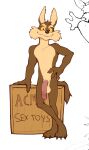balls box brown_body brown_fur container countershade_torso countershading crate english_text fur genitals glans hand_on_hip hi_res jrjresq leaning_on_object looney_tunes male nude_anthro penis simple_background tail text warner_brothers white_background wile_e._coyote yellow_sclera