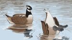  afloat alternate_color alternate_shiny_pokemon bird canada_goose goose highres lugia no_humans planeyboys pokemon pokemon_(creature) ripples 