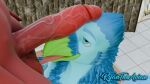 16:9 3d_(artwork) 4k absurd_res anthro avian ball_lick balls beak big_penis bird blue_body body_worship demon digital_media_(artwork) duo erection feathers fur genital_worship genitals glans glistening glistening_genitalia glistening_glans glistening_penis gynomorph gynomorph/male hair hellaverse helluva_boss hi_res humanoid imp intersex intersex/male licking male mammal nude open_mouth oral penile penis penis_worship red_body red_skin ryan_(ryantheavian) ryantheavian sallie_may_(helluva_boss) sex tongue tongue_out trans_(lore) trans_woman_(lore) widescreen