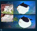abdominal_bulge absurd_res ambiguous_gender anthro anthro_on_feral anthro_prey aquatic asking_for_help asking_why belly bestiality big_belly black_body black_fin black_tail blue_body blue_eyes blue_fur blue_mouth bodily_fluids burp_cloud burping burping_up_fur burping_up_object cetacean churn death digestion dolphin external face_imprint fatal_vore feral feral_pred fin fur green_body green_fur green_mouth group grumbles grumbling hair hand_imprint hi_res huge_belly hyper hyper_belly imprint inside_stomach internal mammal mass_vore melting melting_body melting_flesh melting_limbs melty_digestion misscaine multiple_prey oceanic_dolphin orange_body orange_eyes orange_fur orca organs purple_body purple_fur red_body red_fur rumbling_stomach screaming screaming_prey slosh sloshing_belly sobbing squirming stomach stomach_acid struggling struggling_prey tail toothed_whale underwater unwilling_prey vore water whimper white_belly white_body white_fur white_hair