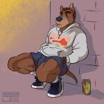 1:1 anthro band-aid bandage barazoku beverage biceps big_muscles blue_bottomwear blue_clothing blue_footwear blue_shoes blue_shorts blue_sneakers bottomwear brown_body brown_eyebrows brown_fur brown_hair canid canine canis cigarette cigarette_in_mouth clock clothing crouching domestic_dog energy_drink eyebrows fletcher_collins footwear fur hair hand_in_pocket hi_res hoodie jackaloo jewelry male mammal manly muscular muscular_anthro muscular_arms muscular_male muscular_thighs necklace object_in_mouth pockets relaxation relaxing shadow shoes shorts smoking smoking_cigarette sneakers socks solo tail thick_arms thick_eyebrows thick_thighs topwear tough_guy watch white_clothing white_footwear white_hoodie white_socks white_topwear wristwatch
