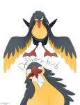 absurd_res avian beak bird black_body black_feathers dewlap_(anatomy) eyes_closed fan_character feathers generation_9_pokemon green_eyes gular_sac hi_res kilowattrel letter male nintendo pokemon pokemon_(species) skua_(gyro) solo yellow_body yellow_feathers zecret_colors