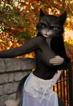  anthro anthrofied big_breasts breasts cat clothing edit feline female kitty_softpaws lingerie mammal oystercatcher7 photo_manipulation photomorph puss_in_boots solo 