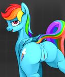  anus butt colored cutie_mark dimfann equine female feral friendship_is_magic hair looking_at_viewer mammal multicolored_hair my_little_pony open_mouth pegasus pussy rainbow_dash_(mlp) rainbow_hair rear_view solo wings 