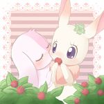  anthro berries blush chest_tuft chima cute duo eyelashes eyes_closed female fur happy_happy_clover heartwarming japanese kajiura kissing lagomorph lesbian long_ears mallow mammal meru purple_eyes rabbit sayuri_tatsuyama tuft 