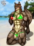  anthro beach big_breasts bikini blush breasts canine clothing female fur hair long_hair looking_at_viewer mammal muscles muscular_female nipples open_mouth outside revealing sand sea seaside smile solo swimsuit tongue tongue_out undressing water zi0808 