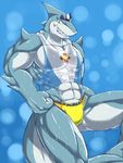  abs abstract_background anthro barazoku biceps big_muscles blue_background bulge clothing eyewear fangs fin fish grey_skin grin kemono lifeguard looking_at_viewer male marine muscles pecs plain_background pose ripped ryuukikeito scales shark shiny shirt smile solo speedo swimsuit tank_top teeth toned vest wet white_skin yellow_eyes 