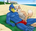  abs anthro archshen avian beach beak biceps bird blue_body blue_eyes brown_fur brown_nose bulge canine clothed clothing couple dos duo falco_lombardi fangs feathers fox_mccloud fur gay green_eyes grin grope hair half-dressed interspecies lying male mammal muscles nintendo on_back on_side open_mouth outside pecs pose sand sea seaside sky smile speedo star_fox swimsuit tan_fur teeth toned tongue topless towel video_games water white_fur white_hair 