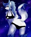  2012 anthro anus black_clothing black_nose blue_fur blue_hair breasts butt canine clothed clothing female fox fur hair looking_at_viewer mammal miku1215 presenting presenting_hindquarters purple_eyes skimpy solo white_fur 