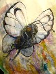  ambiguous_gender antennae butterfree cloudpuncher colorful feral flying mixed_media nintendo pen_(artwork) pok&eacute;mon realistic solo spread_wings traditional_media_(artwork) video_games watercolor_(artwork) wings 