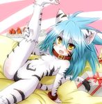  2012 anthro bed black_fur blue_hair blush breasts claws collar cub feline female fur fuurin_rei gift hair looking_at_viewer lying mammal momomo on_back open_mouth pawpads paws solo teeth tiger white_fur white_tiger yellow_eyes young 