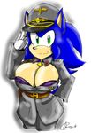  2014 akatsukishiranui-fox anthro big_breasts breasts cleavage clothed clothing crossgender female hedgehog looking_at_viewer mammal sega smile solo sonic_(series) sonic_the_hedgehog 