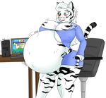  anthro belly big_belly big_breasts blue_eyes blush breasts cleavage clothed clothing day-tipper-guy english_text feline female fur hair huge_breasts hyper hyper_belly inflation long_hair mammal navel skimpy solo text tiger torn_clothing under_boob whiskers white_fur white_hair 