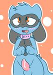 balls birdpawss blush canine collar looking_at_viewer male mammal nintendo penis pok&eacute;mon red_eyes riolu solo standing video_games 