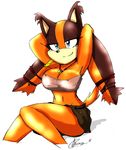  2014 akatsukishiranui-fox anthro badger big_breasts breasts cleavage clothed clothing female looking_at_viewer mammal mustelid sega smile solo sonic_(series) sticks_the_jungle_badger 
