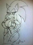  2014 akatsukishiranui-fox anthro big_breasts breasts cleavage clothed clothing crossgender female hedgehog looking_at_viewer mammal plain_background sega skimpy smile solo sonic_(series) sonic_the_hedgehog white_background 